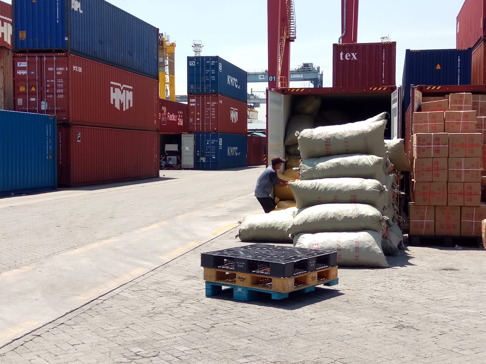 borongan cargo9